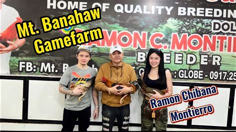 Ramon Chibana Montierro .